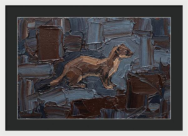 Stoat Amongst Textured Earth