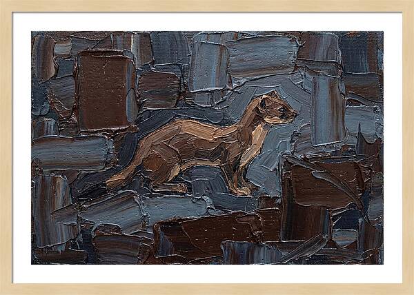 Stoat Amongst Textured Earth