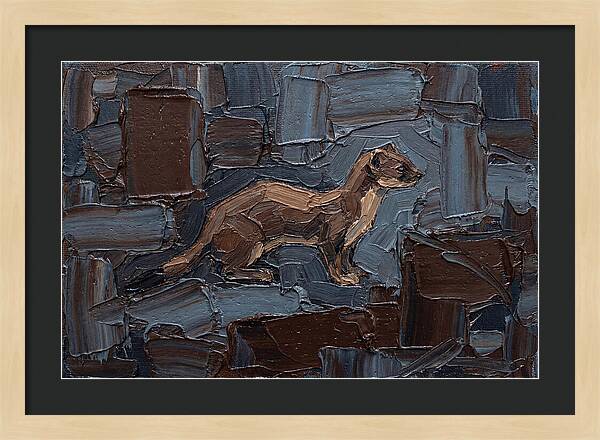 Stoat Amongst Textured Earth