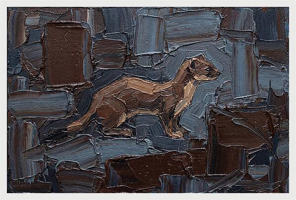 Stoat Amongst Textured Earth