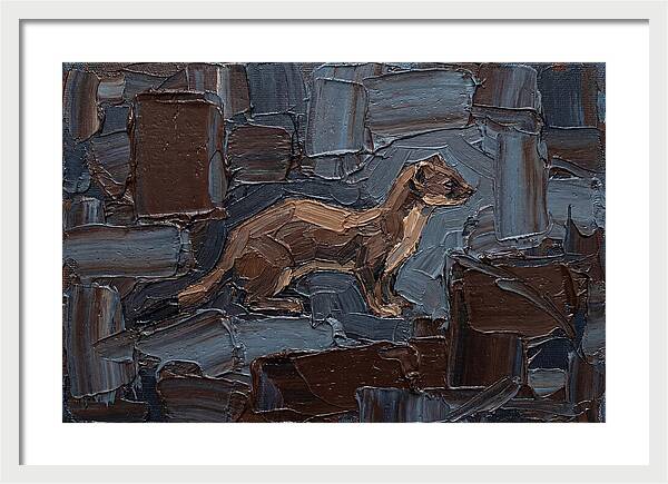 Stoat Amongst Textured Earth