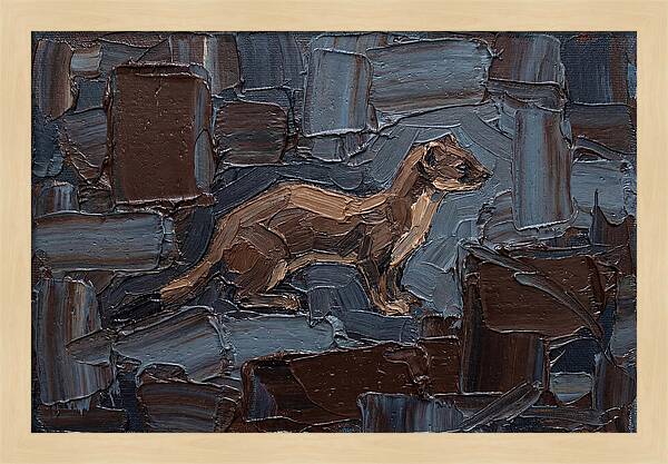 Stoat Amongst Textured Earth