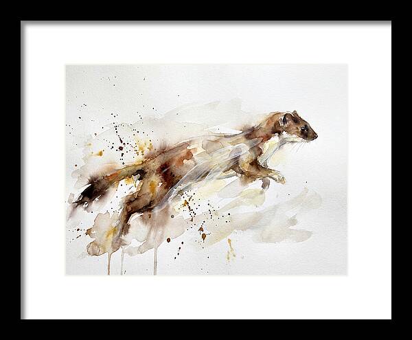 Stoat In Motion