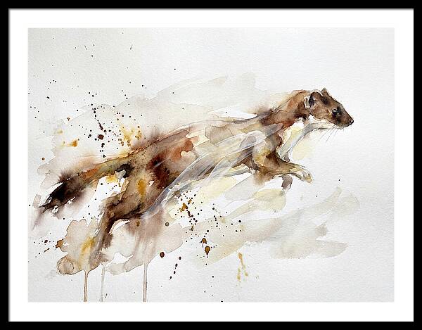 Stoat In Motion