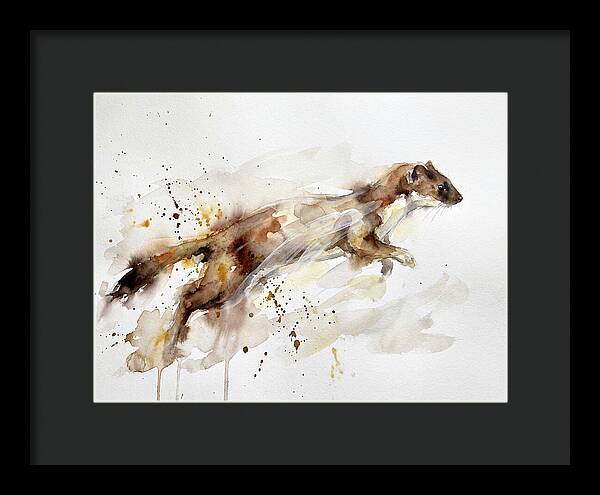 Stoat In Motion