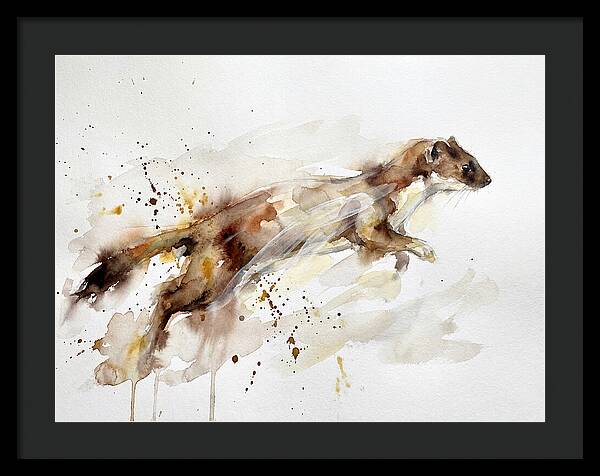 Stoat In Motion