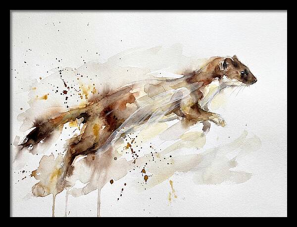 Stoat In Motion