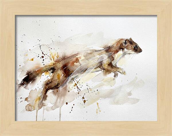 Stoat In Motion