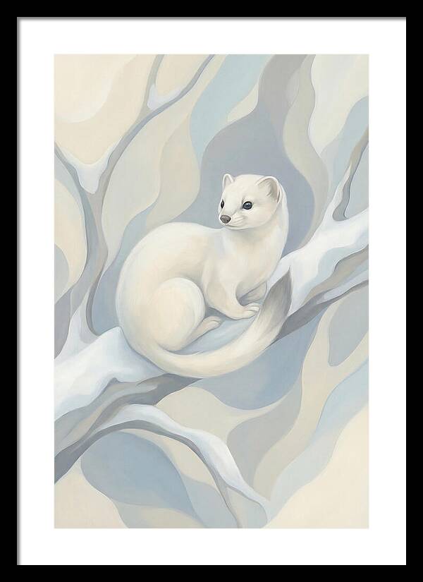 Stoat In Winter White Coat