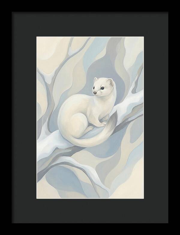 Stoat In Winter White Coat