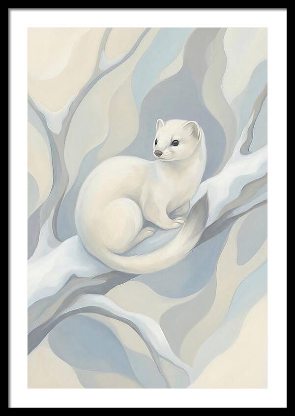 Stoat In Winter White Coat