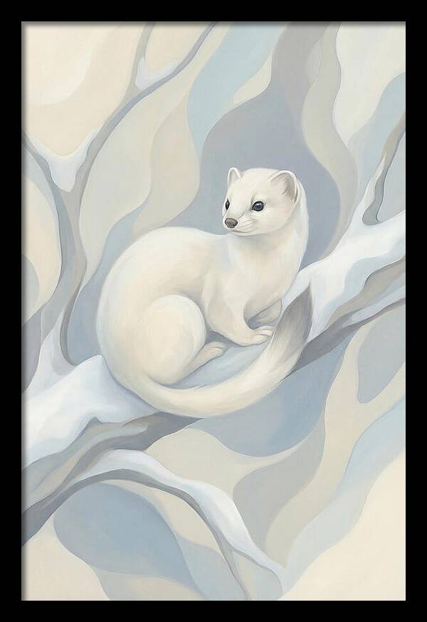 Stoat In Winter White Coat