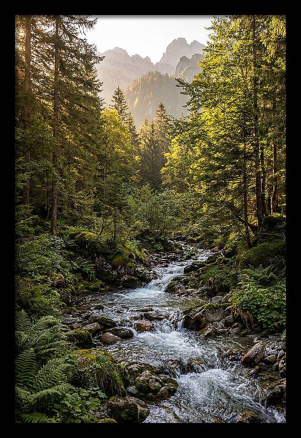 Stokes State Forest Serenity