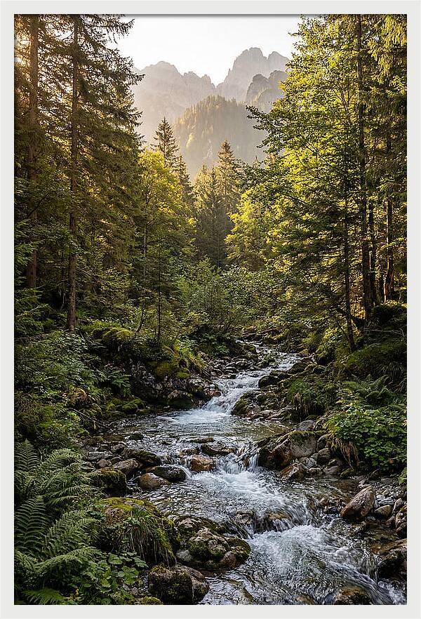 Stokes State Forest Serenity
