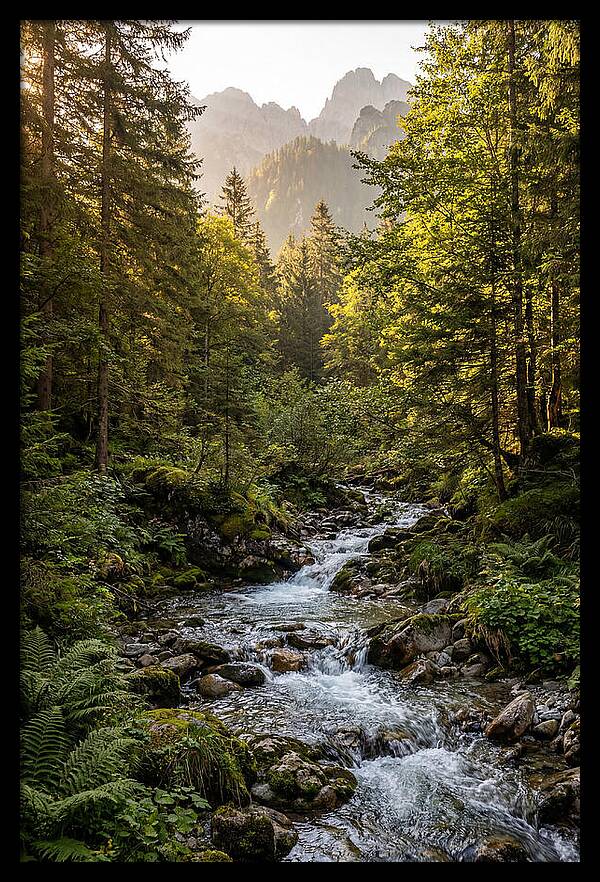 Stokes State Forest Serenity
