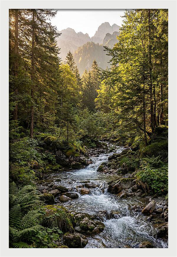 Stokes State Forest Serenity