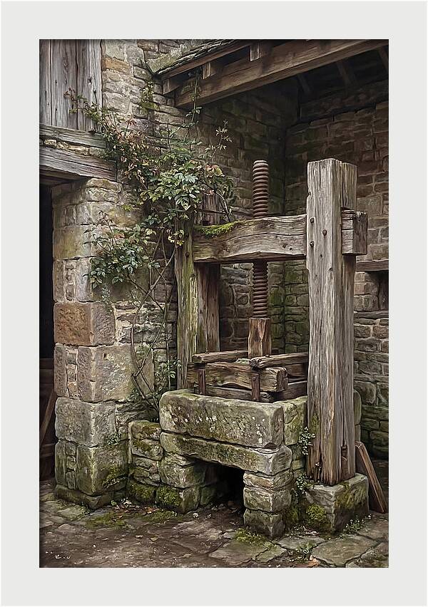 Stone Cheese Press In Farmyard