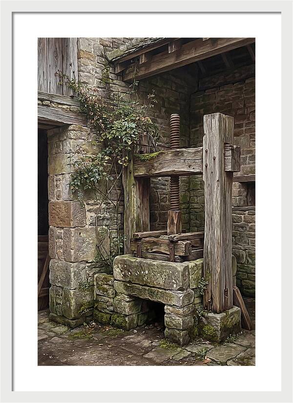 Stone Cheese Press In Farmyard