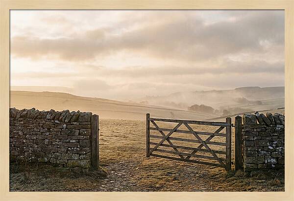 Stone Field Gate At Dawn