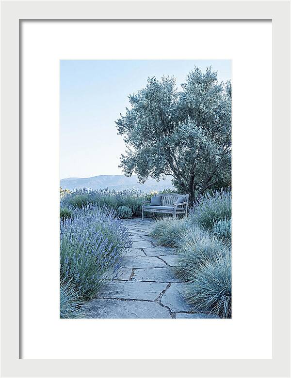 Stone Pathway To Serenity