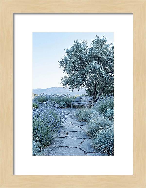 Stone Pathway To Serenity