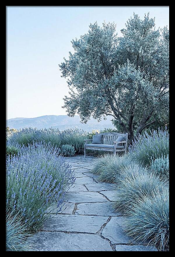 Stone Pathway To Serenity