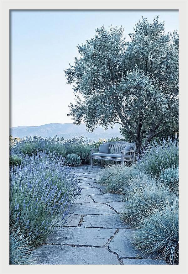 Stone Pathway To Serenity