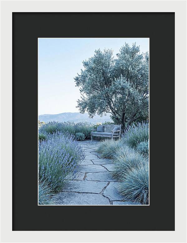 Stone Pathway To Serenity