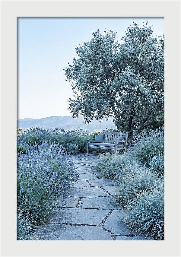 Stone Pathway To Serenity