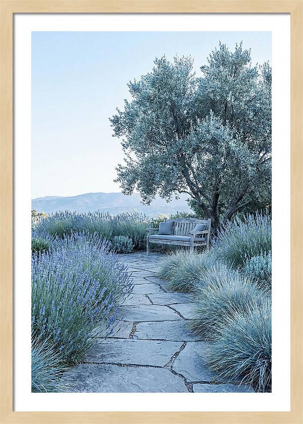 Stone Pathway To Serenity