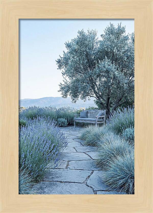 Stone Pathway To Serenity