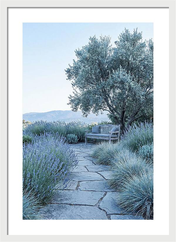 Stone Pathway To Serenity