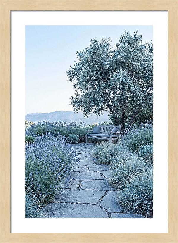 Stone Pathway To Serenity