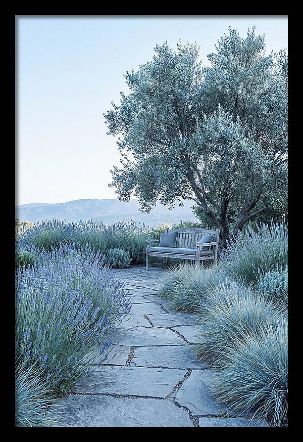 Stone Pathway To Serenity