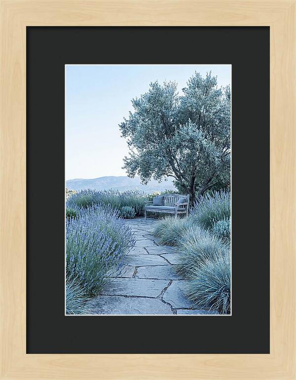 Stone Pathway To Serenity