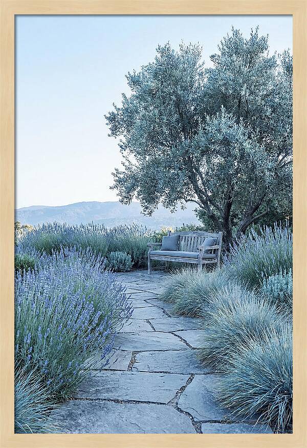 Stone Pathway To Serenity