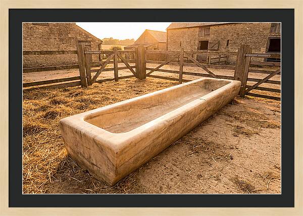 Stone Pig Feeding Trough