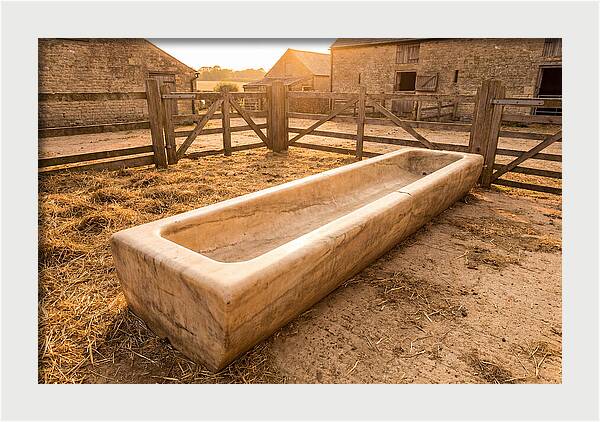 Stone Pig Feeding Trough