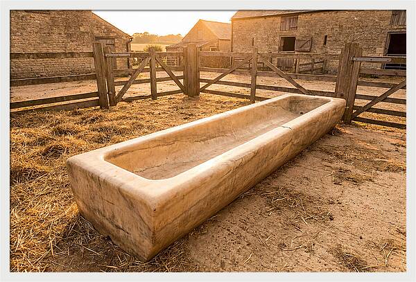 Stone Pig Feeding Trough