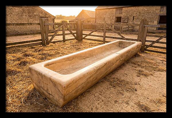 Stone Pig Feeding Trough
