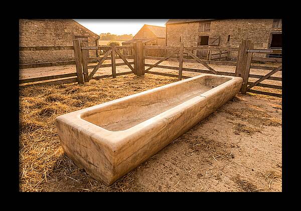 Stone Pig Feeding Trough