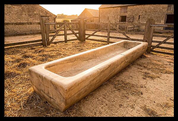 Stone Pig Feeding Trough