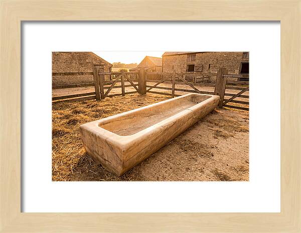 Stone Pig Feeding Trough