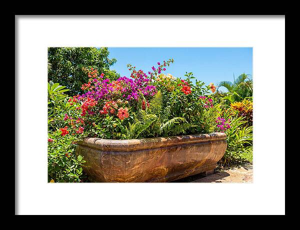 Stone Pig Trough Flower Planter