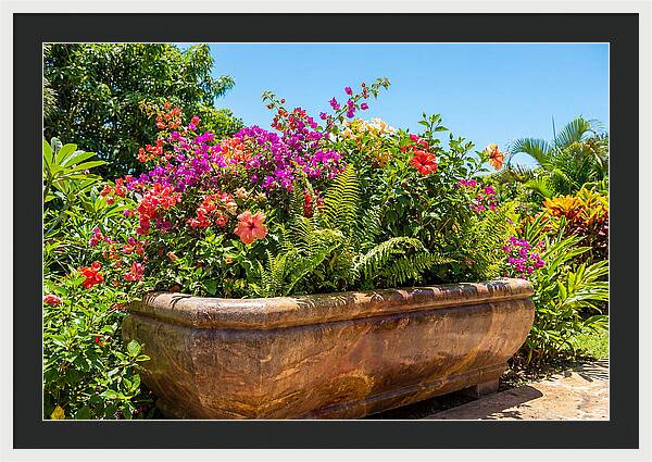 Stone Pig Trough Flower Planter