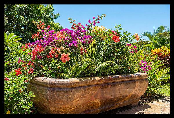 Stone Pig Trough Flower Planter