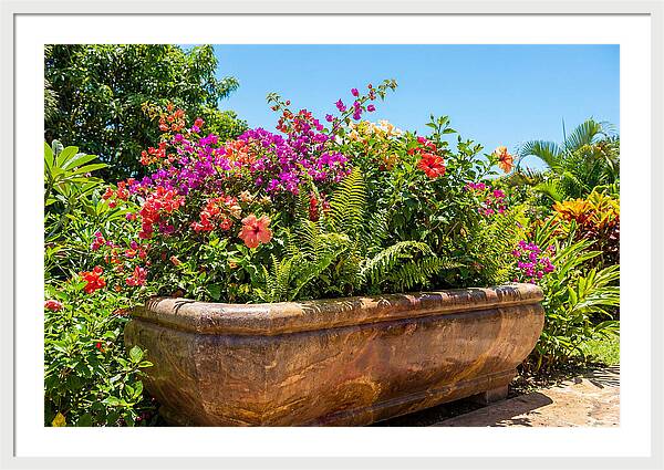 Stone Pig Trough Flower Planter
