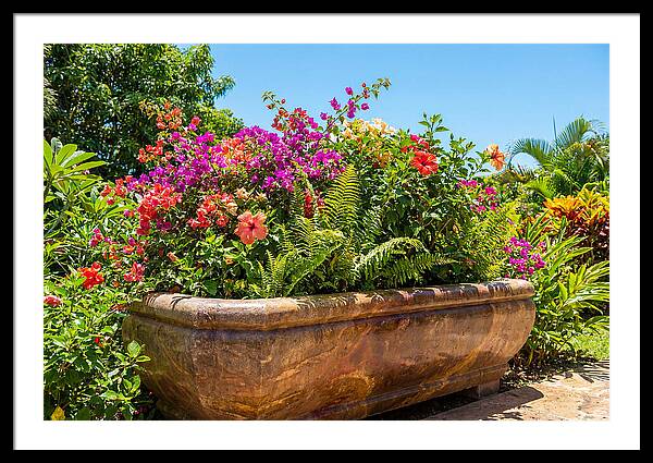 Stone Pig Trough Flower Planter