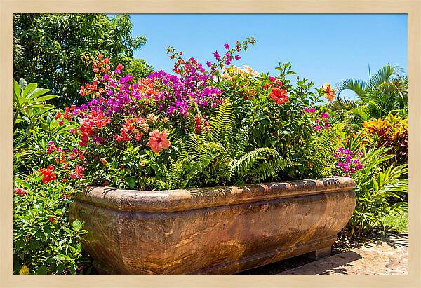 Stone Pig Trough Flower Planter