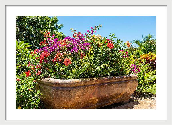 Stone Pig Trough Flower Planter